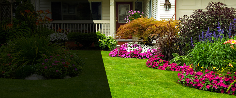 Pisgah Landscapers